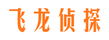 丰满市调查公司